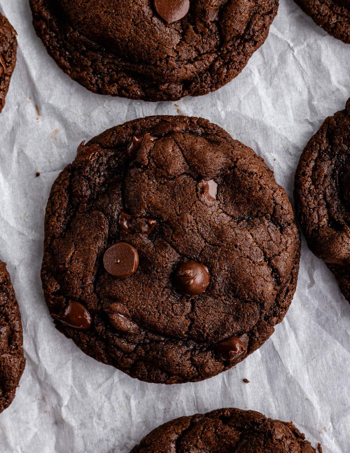 close up of a chocolate cookie.