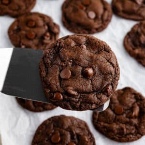 spatula holding a chocolate cookie.