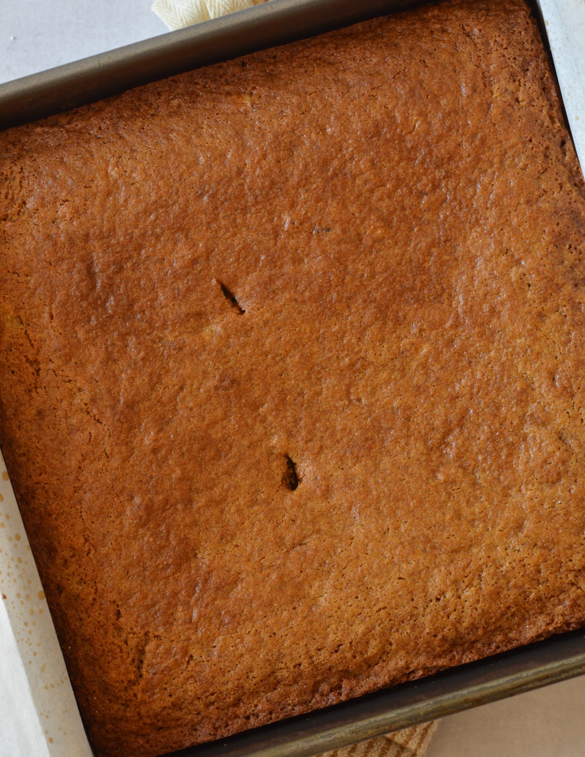 close up of gluten free gingerbread cake