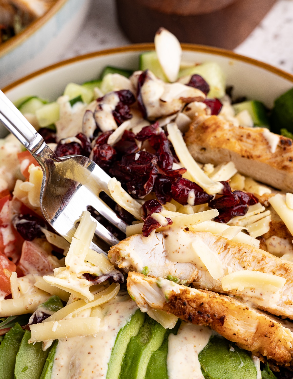 close up of a fork digging into a salad with dried cranberries, grilled chicken, avocado, and honey mustard.