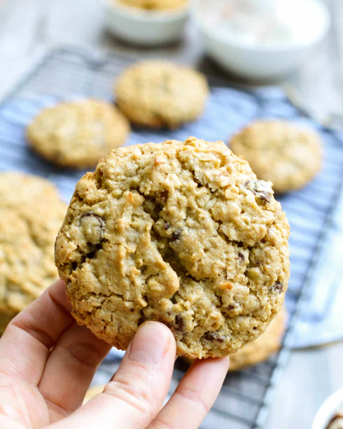 hand holding a gluten free cowboy cookie.