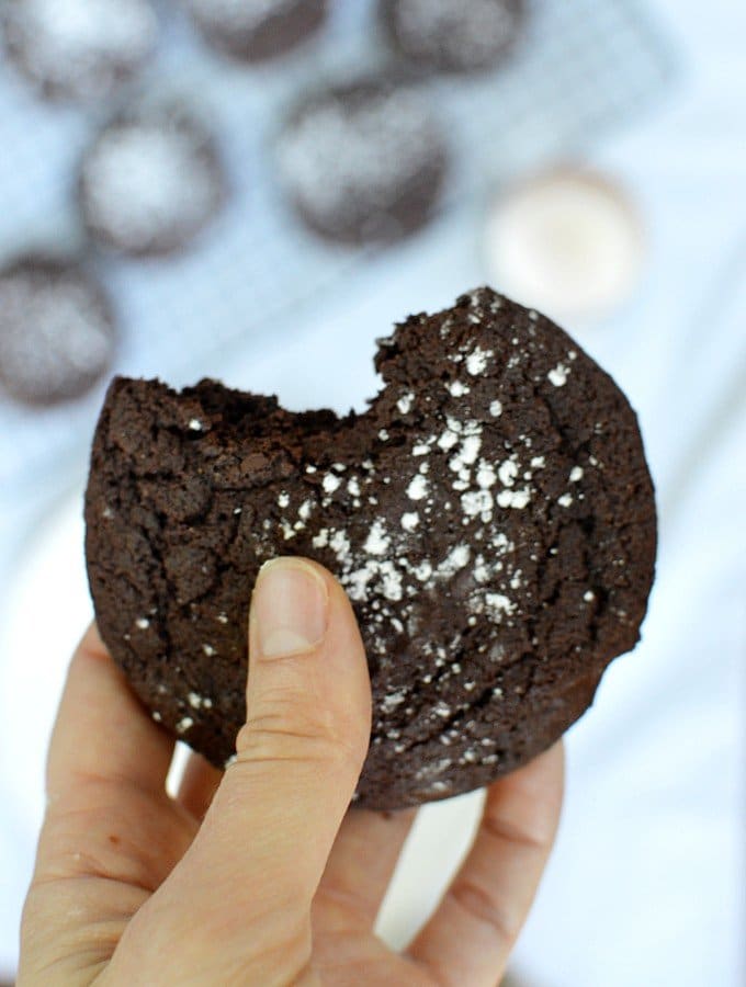 gluten free double chocolate cookies