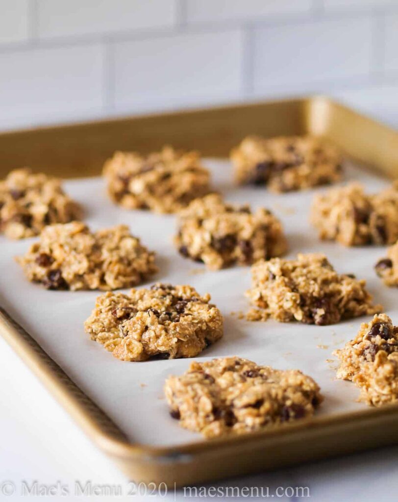 gluten free oat protein cookies