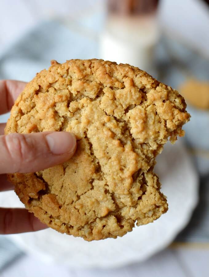 peanut butter oatmeal chocolate chip cookies