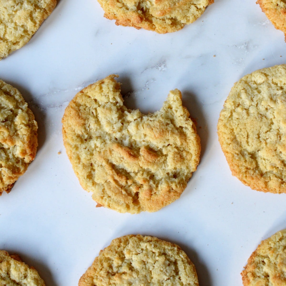 coconut flour cookie with a bite out of it.