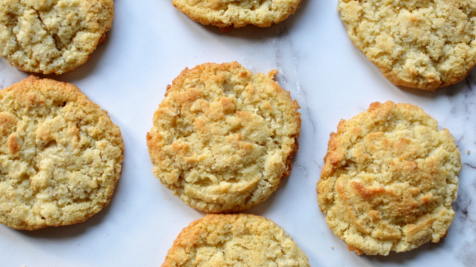 Coconut Flour Oatmeal Cookies-image