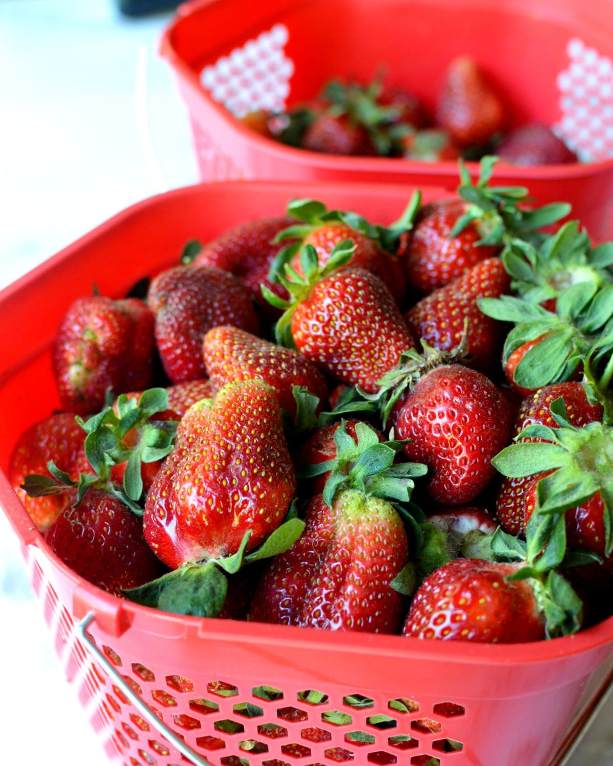 basket of fresh strawberries