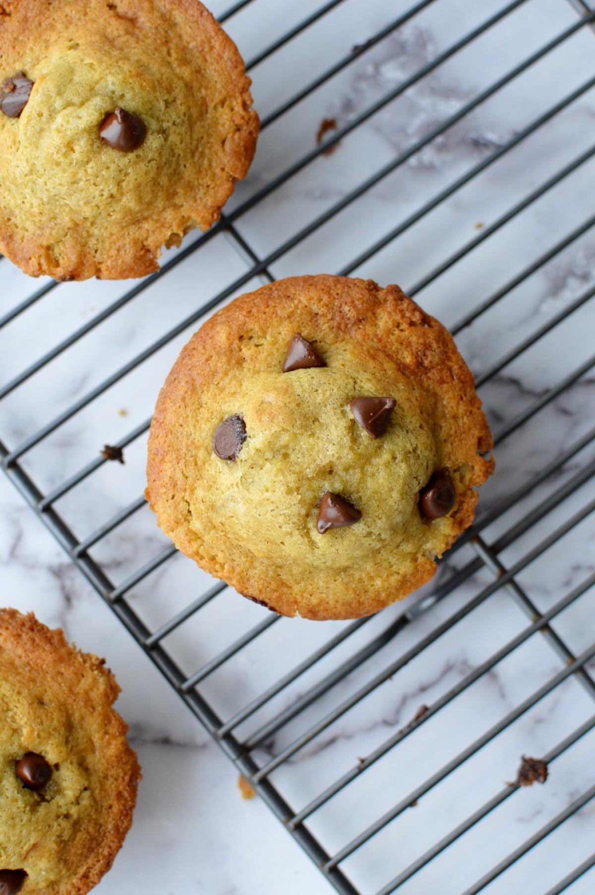 gluten free muffin top with chocolate chips