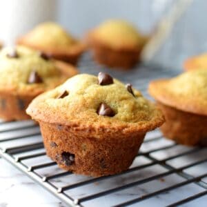 gluten free banana chocolate chip muffins