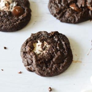 chocolate marshmallow cookies.