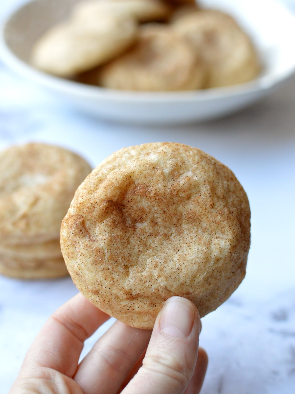 a snickerdoodle cookie