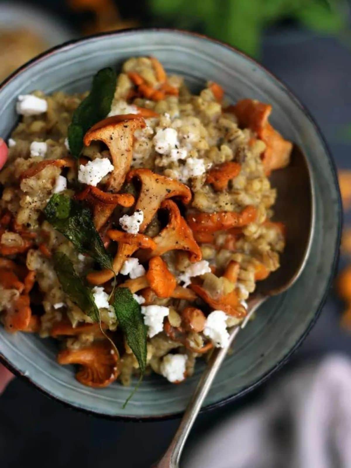 a bowl of barley risotto with mushrooms