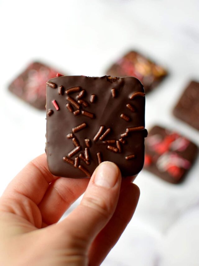 ChocolateCovered Graham Crackers caramel and cashews