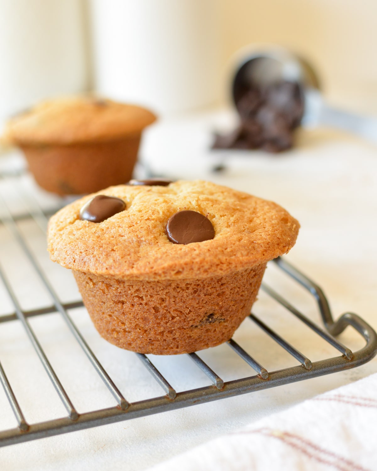 a gluten free chocolate chip muffin