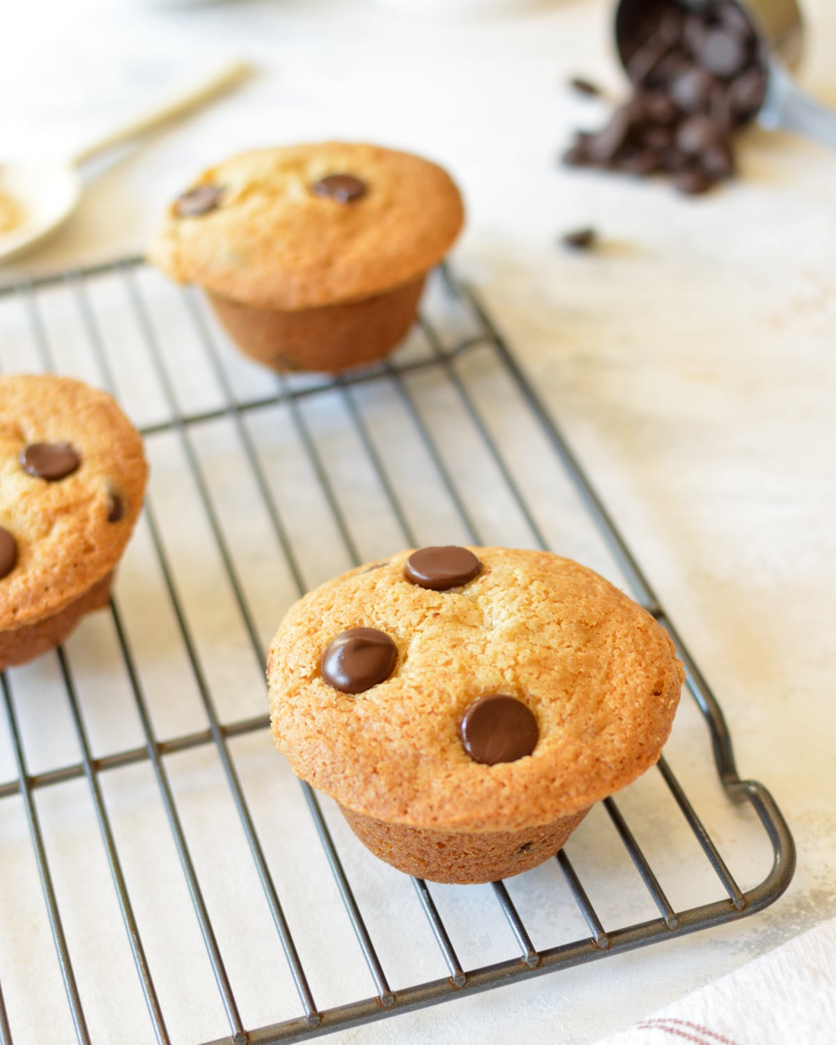 a gluten free chocolate chip muffin