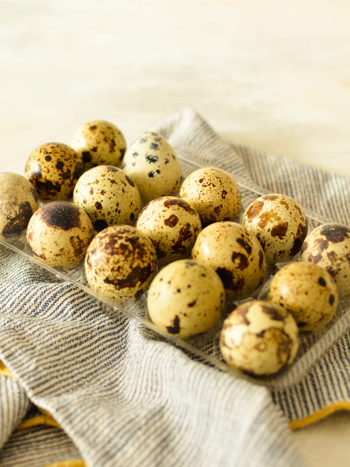 a container of quail eggs on a towel