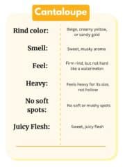 How to Pick a Ripe Cantaloupe - Chart + Tips! - caramel and cashews