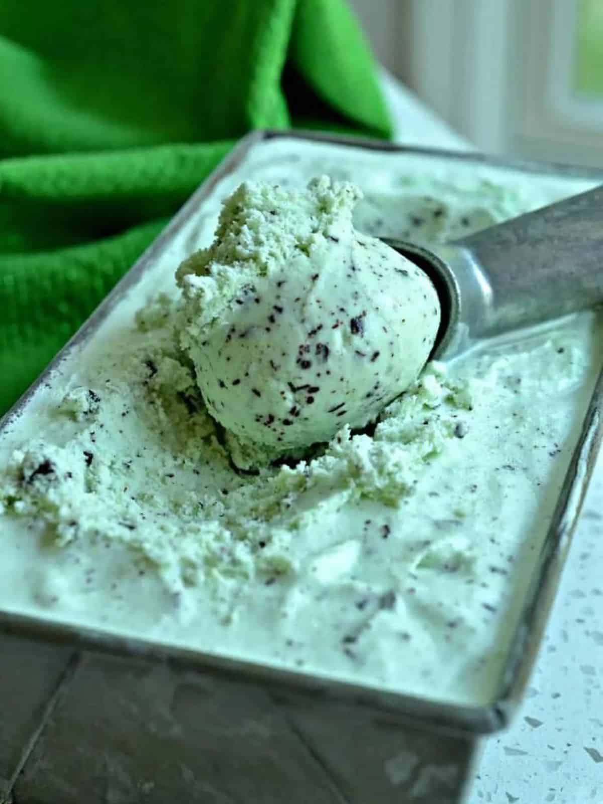 a scoop of mint chocolate chip ice cream.