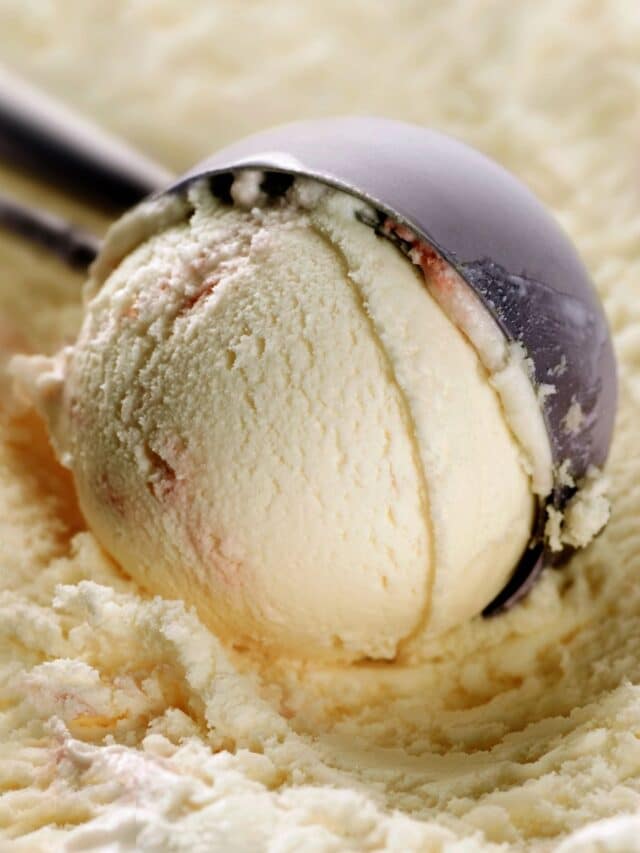 13 Nostalgia Ice Cream Maker Recipes Caramel And Cashews   A Scoop Of Vanilla Ice Cream. 640x853 