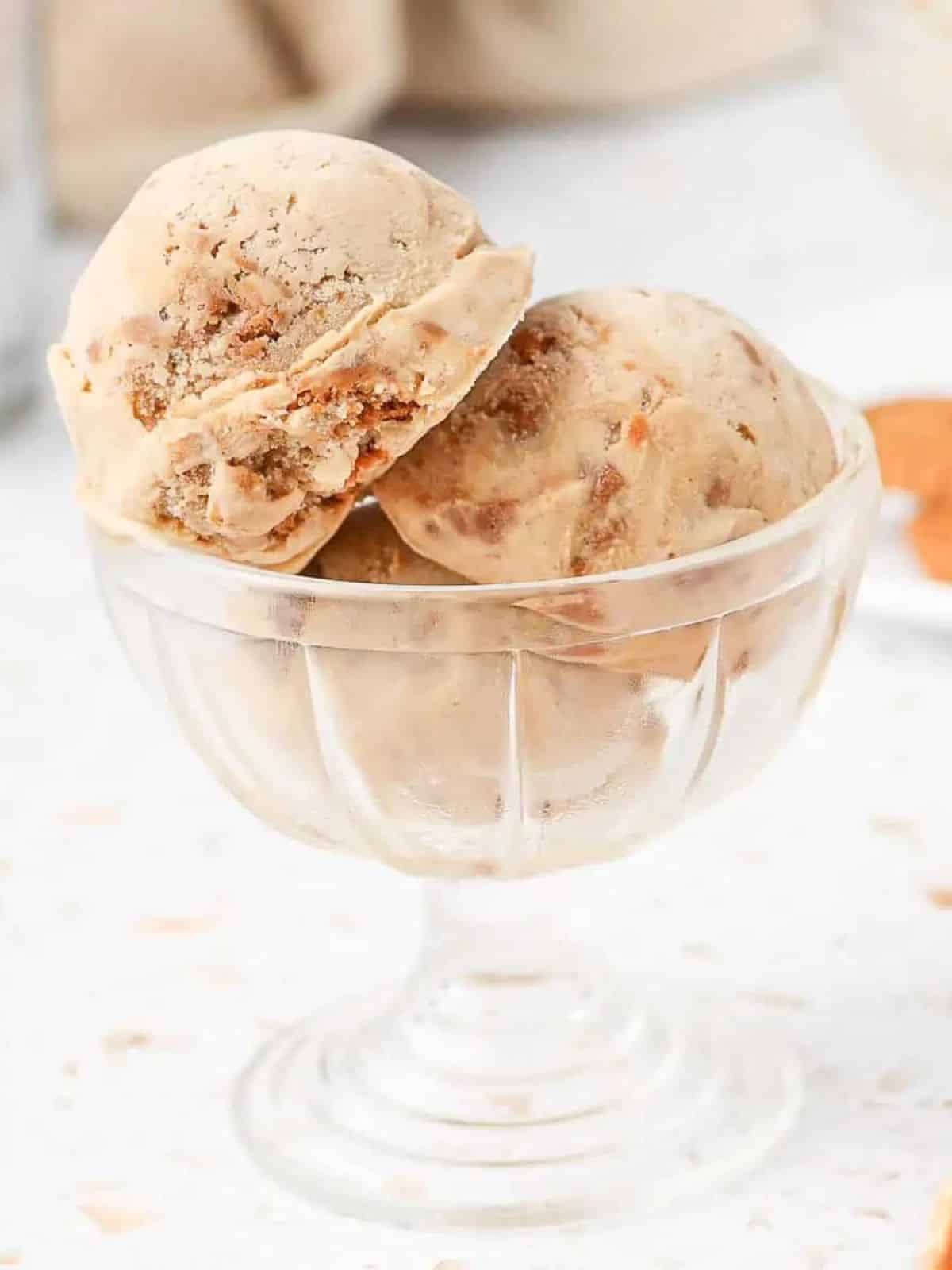 Nostalgia ice cream maker best sale recipe book