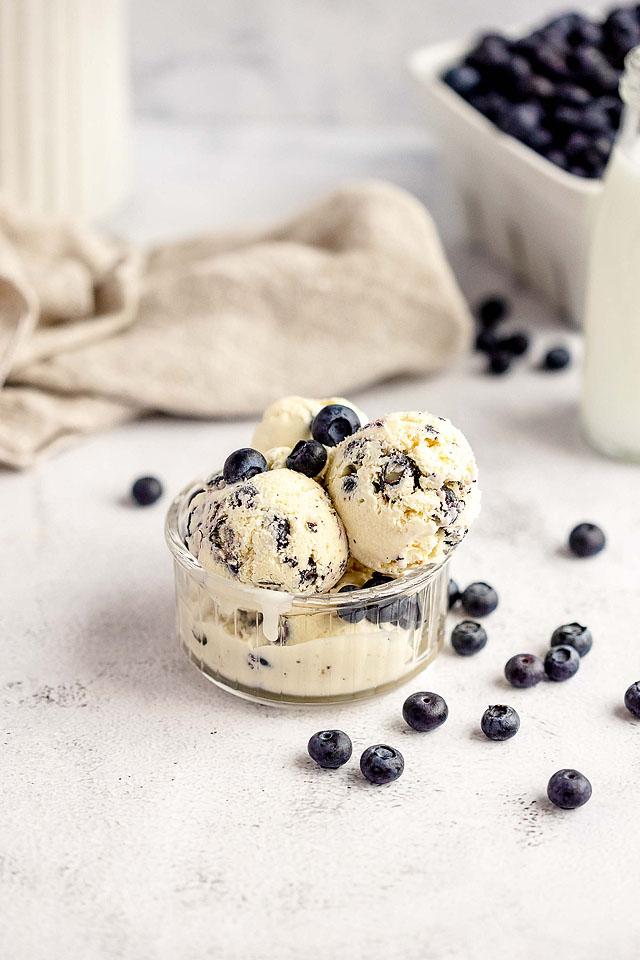 a bowl of blueberry cheesecake ice cream.