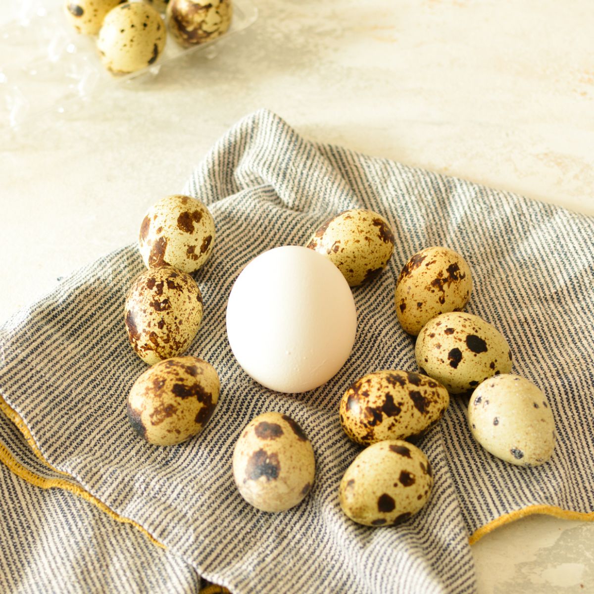 quail eggs around a chicken egg