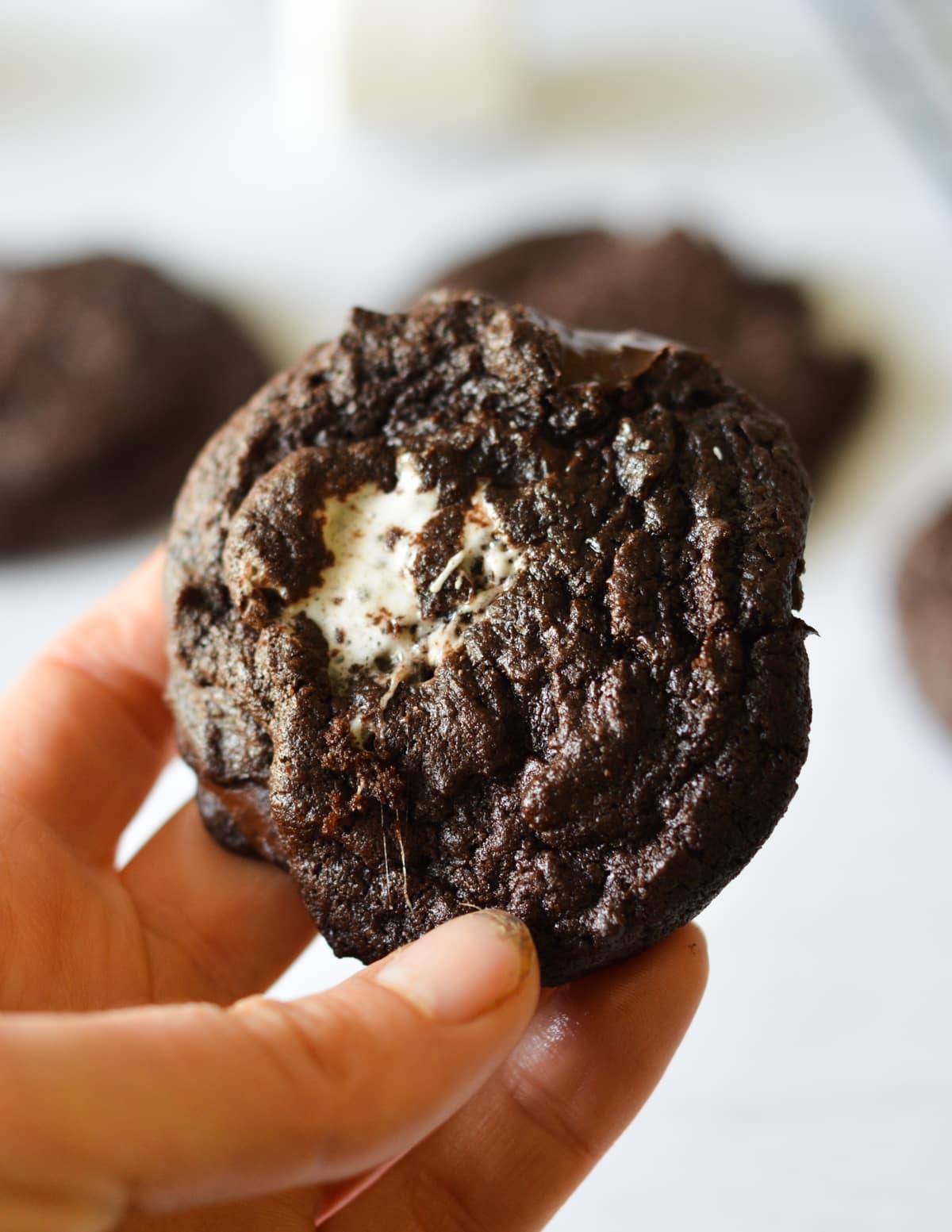 hand holding a chocolate marshmallow cookie.