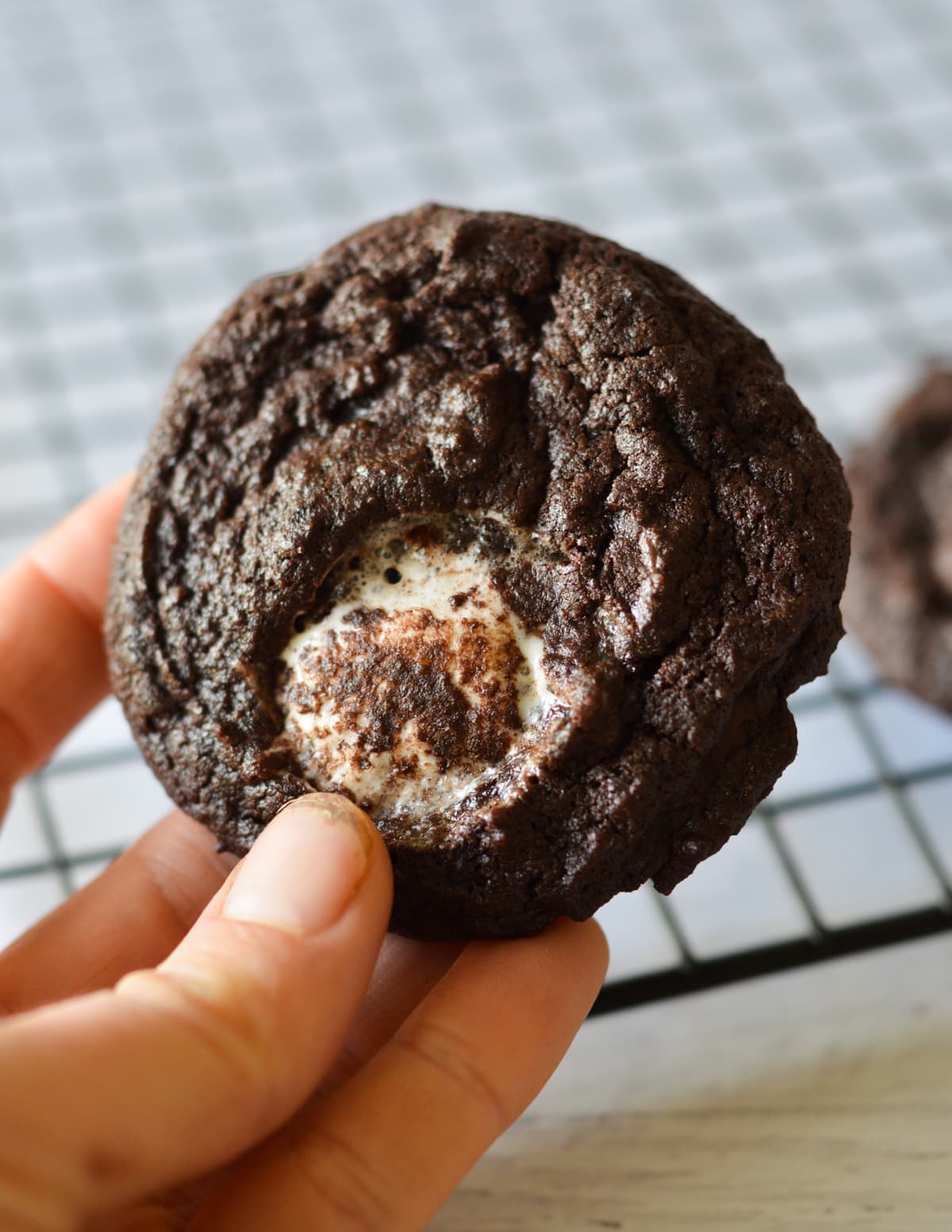 hand holding a chocolate marshmallow cookie.