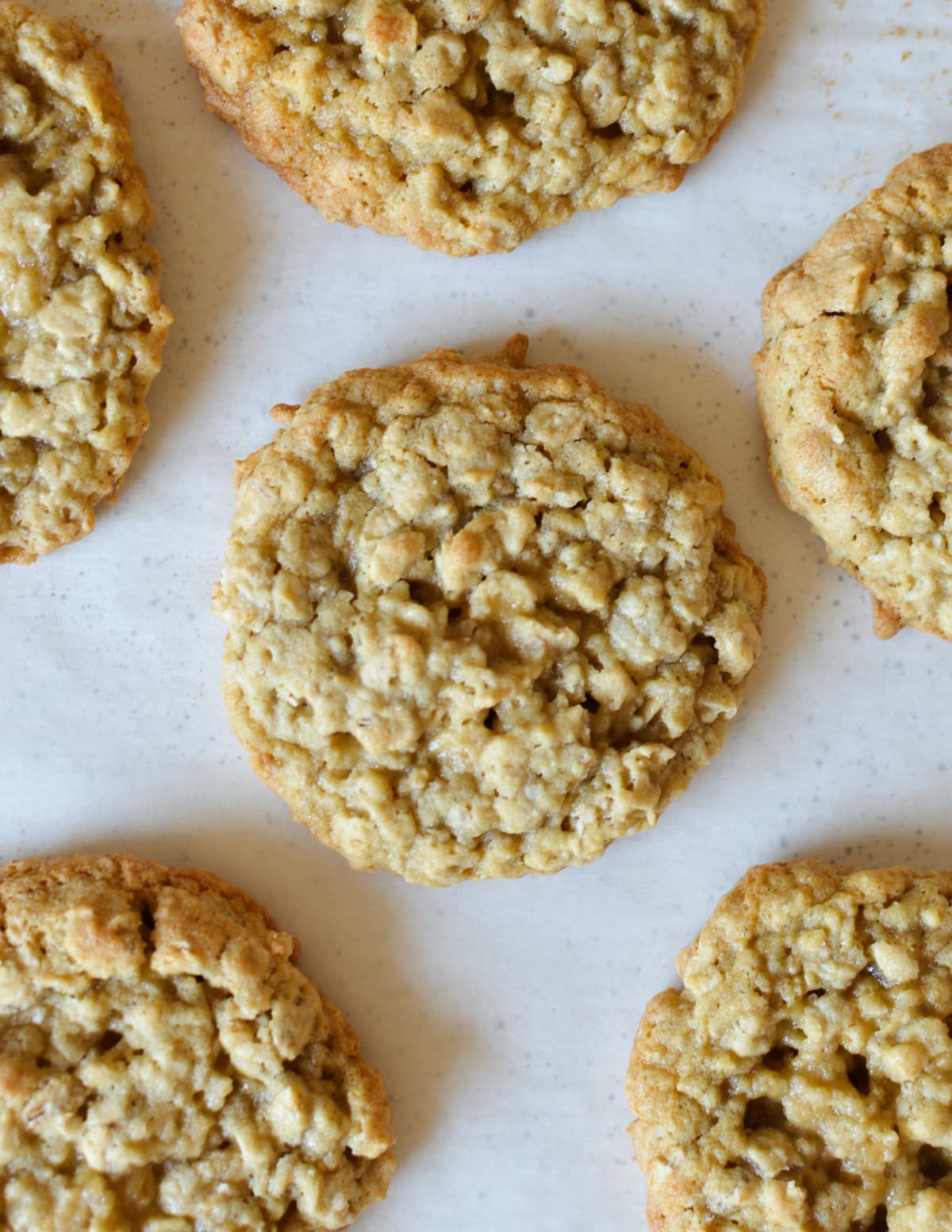 close up of an oatmeal cookie.