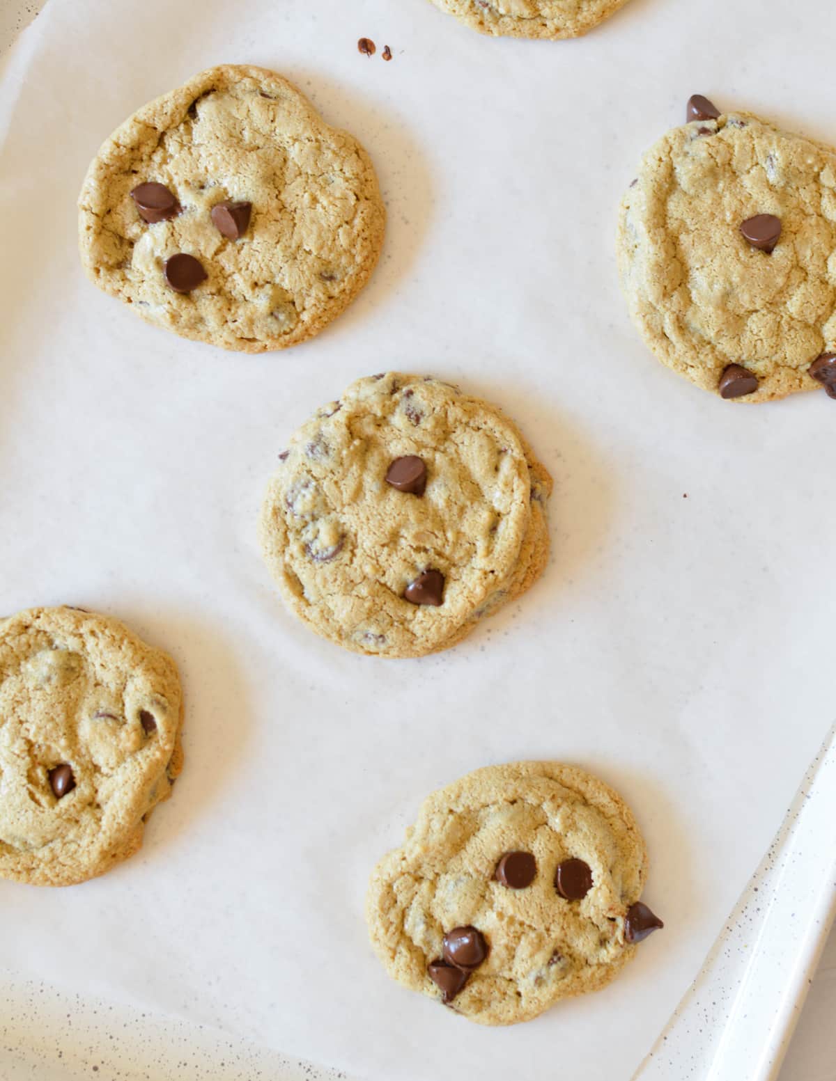 oat flour chocolate chip cookies on a sheet pan. 