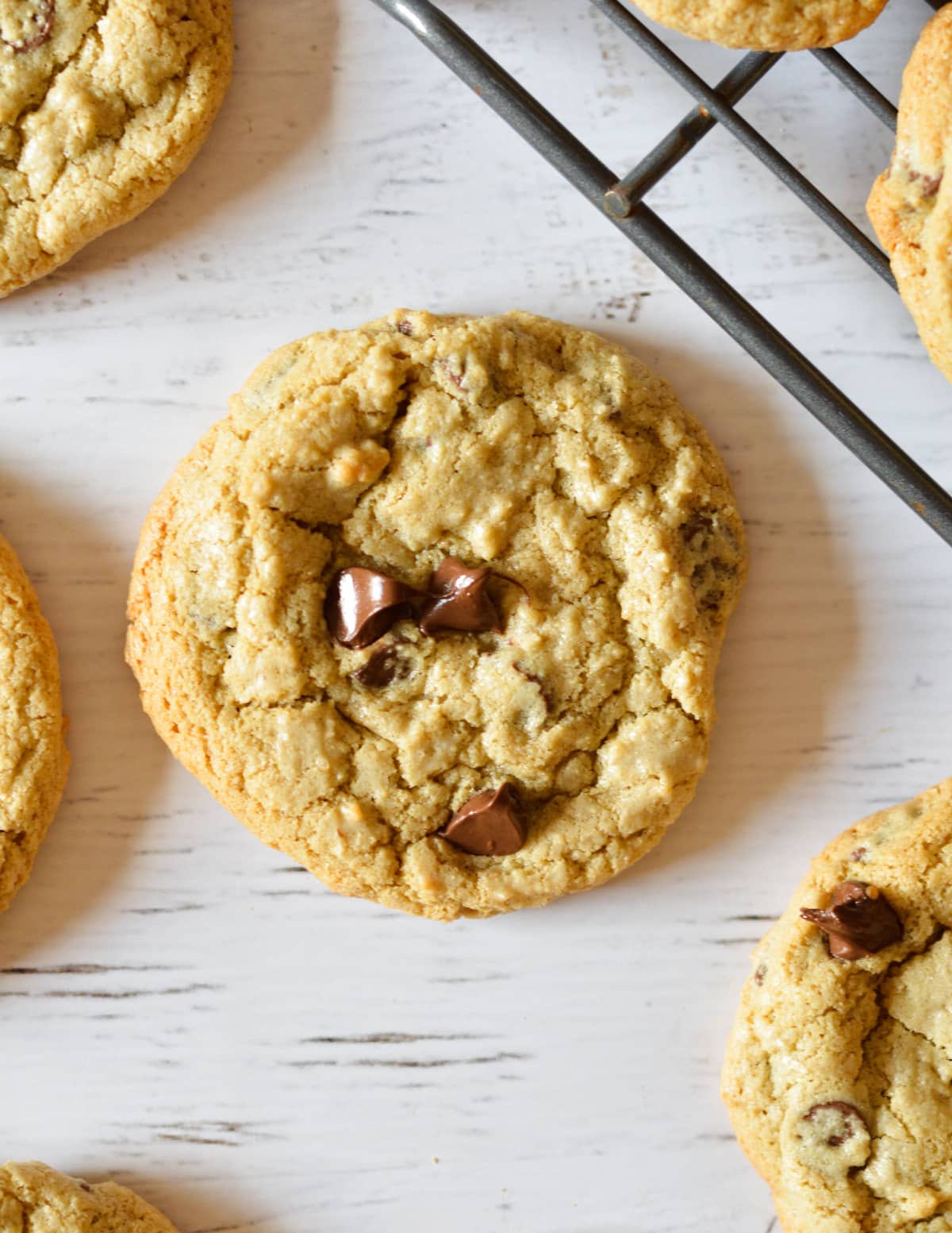 oat flour chocolate chip cookie.