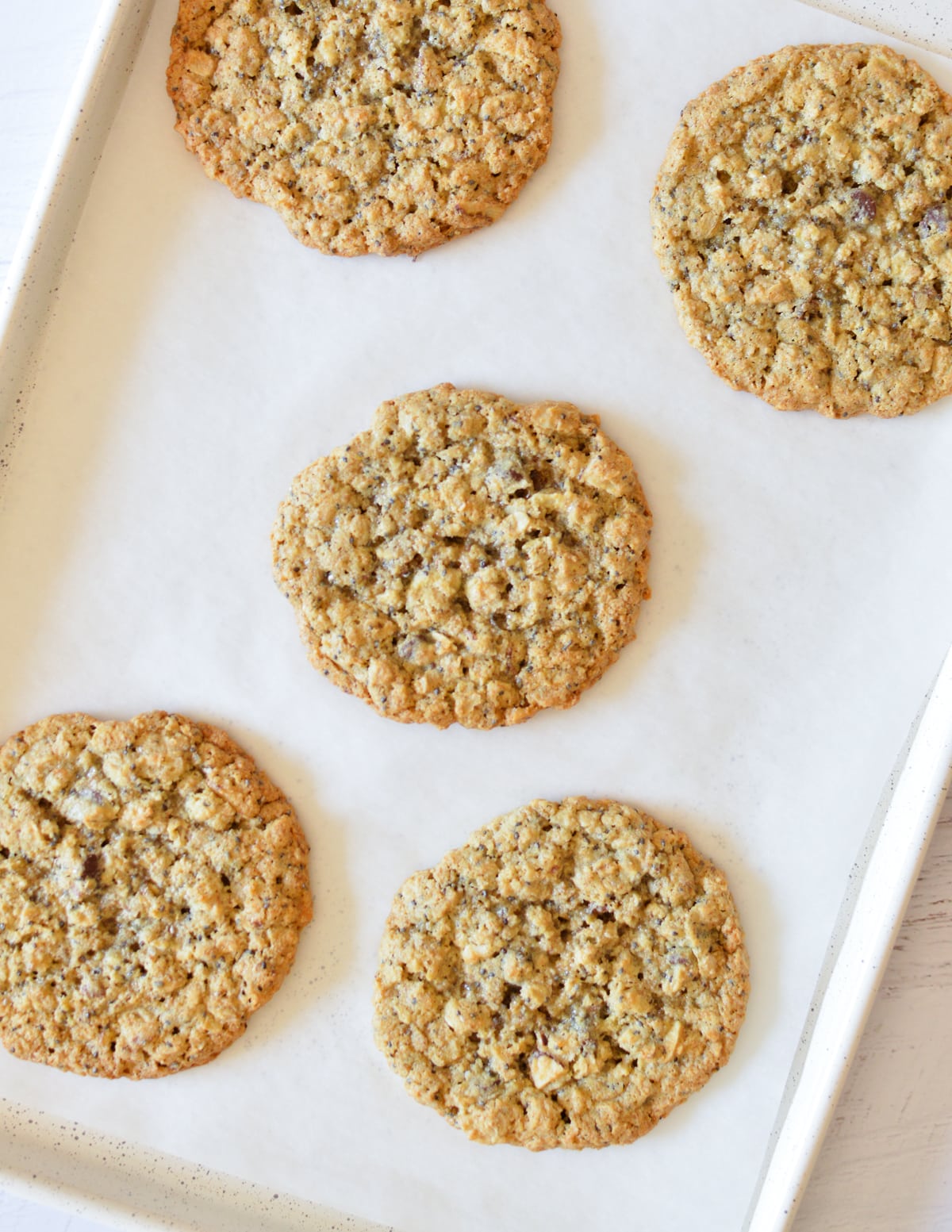 baked oatmeal cookies on a sheet pan.