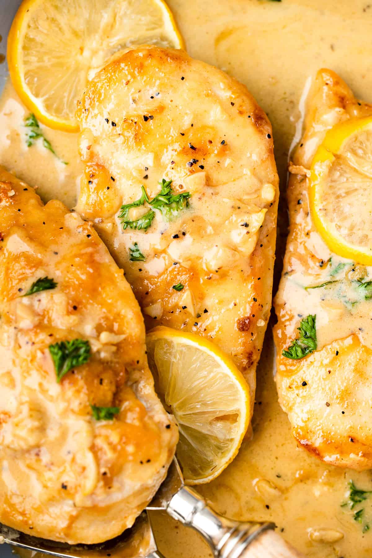 chicken in creamy lemon sauce. 