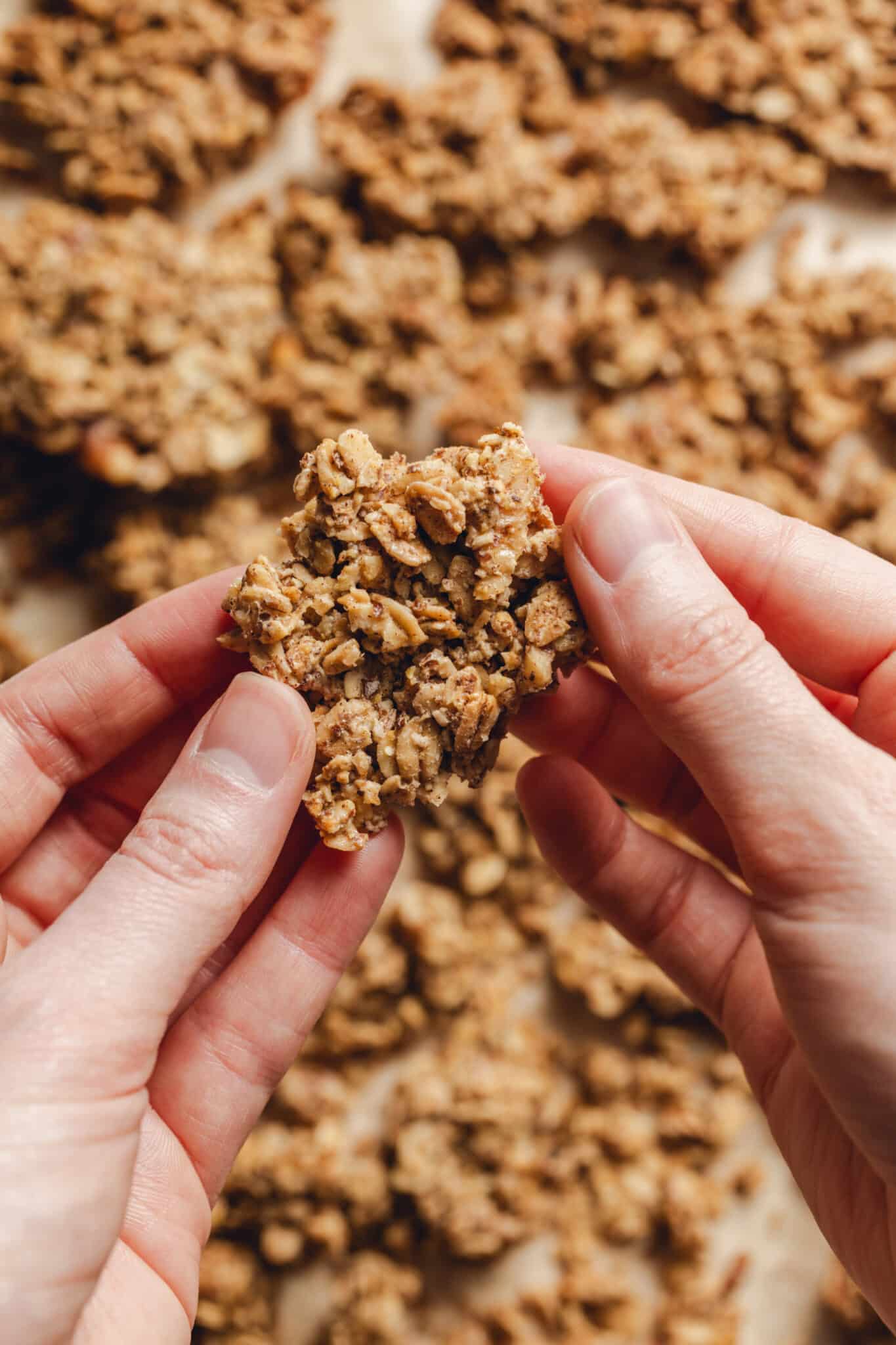 hand holding a granola cluster.