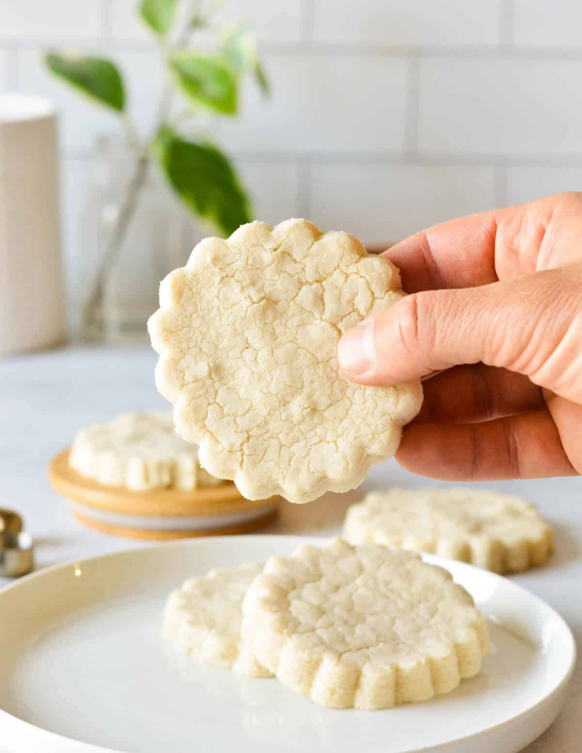 hand holding a gluten free shortbread cookie.