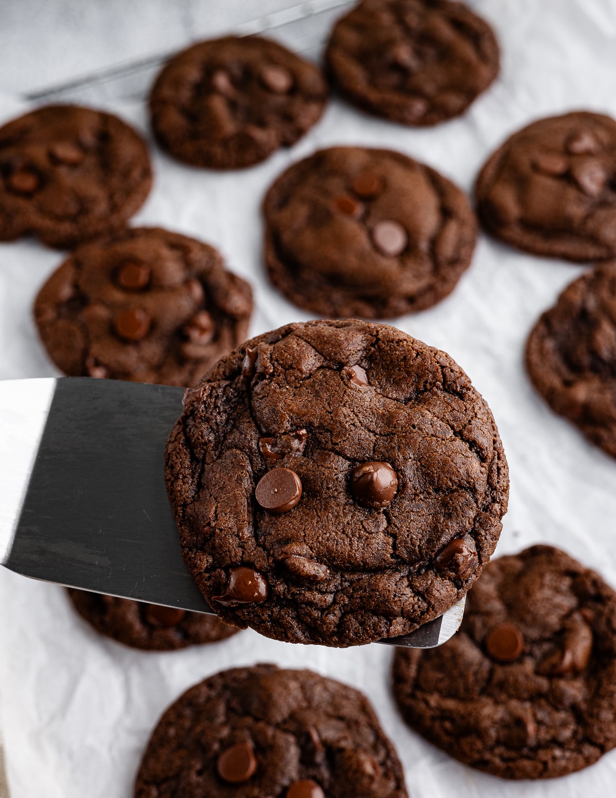 spatula holding a chocolate cookie.