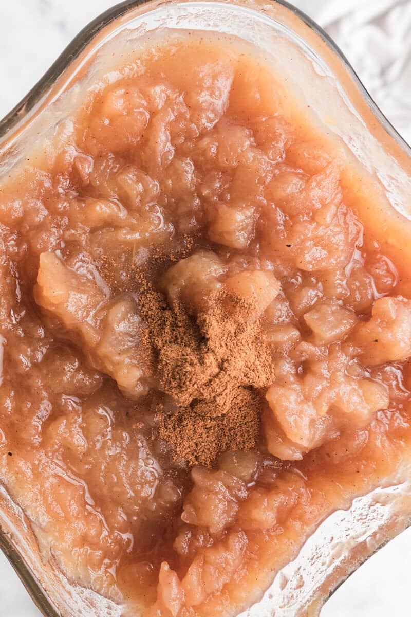 apple sauce in a blender with cinnamon on top.