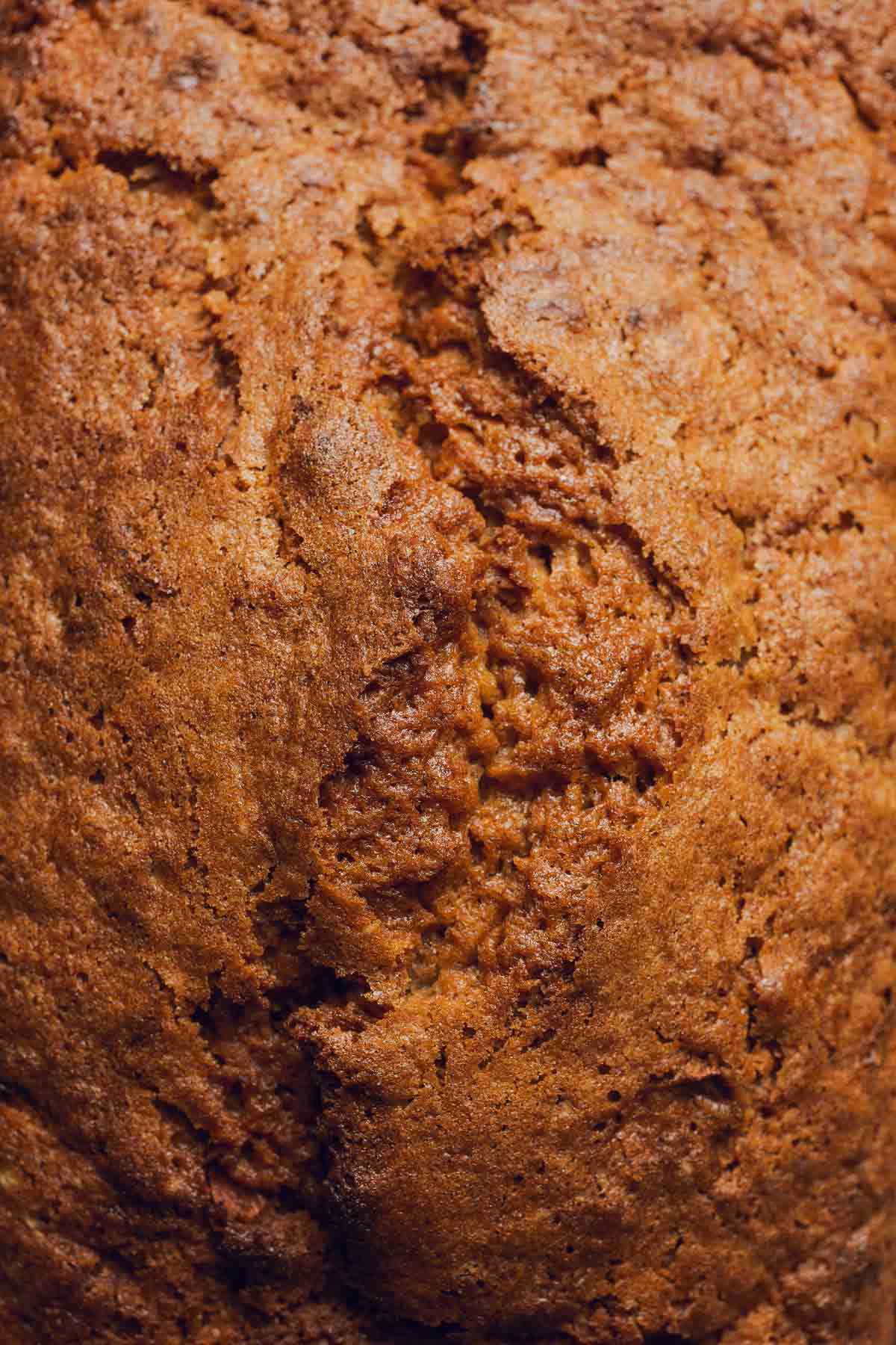 a close up of the top of squash bread.